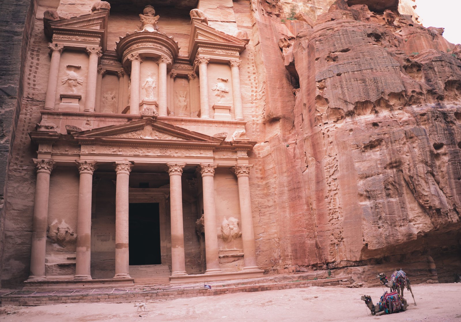 guia de Petra en jordania