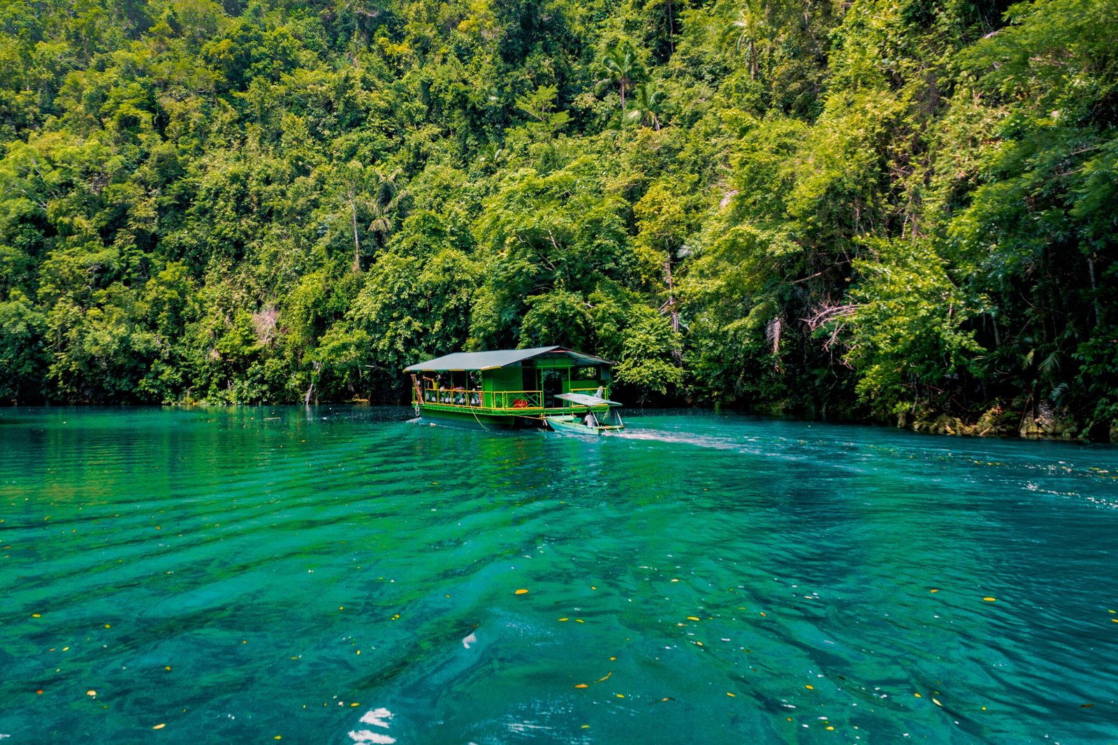 qué ver en Bohol