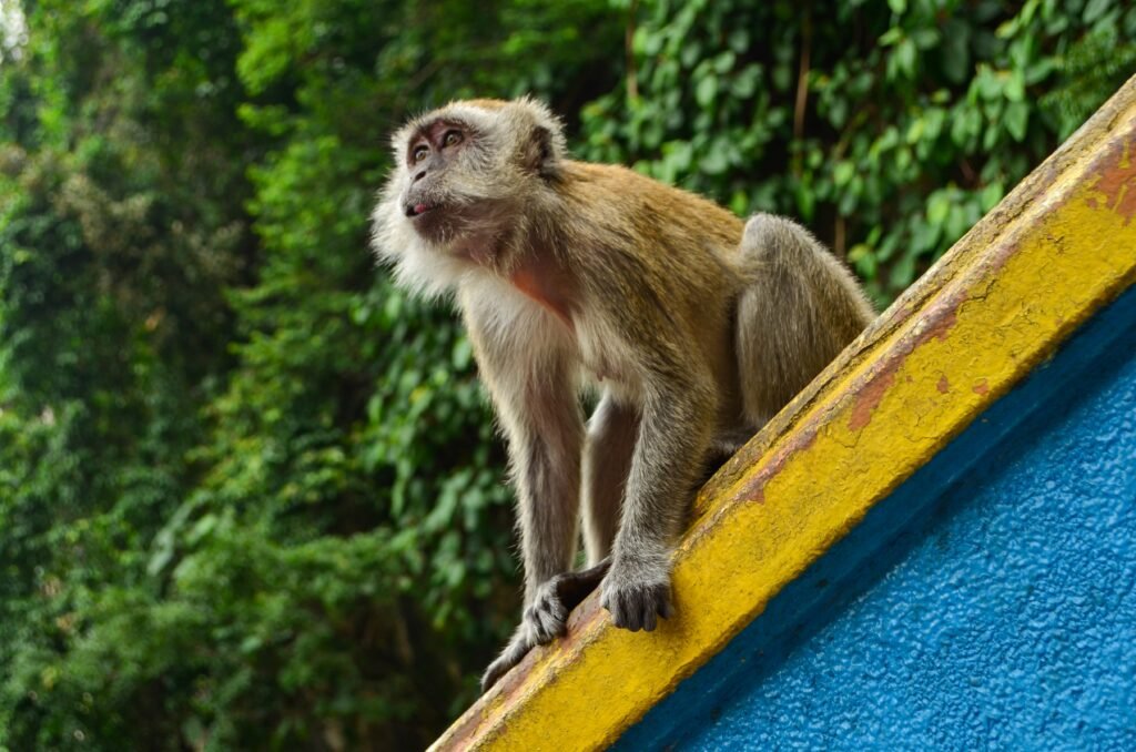 Kuala Lumpur