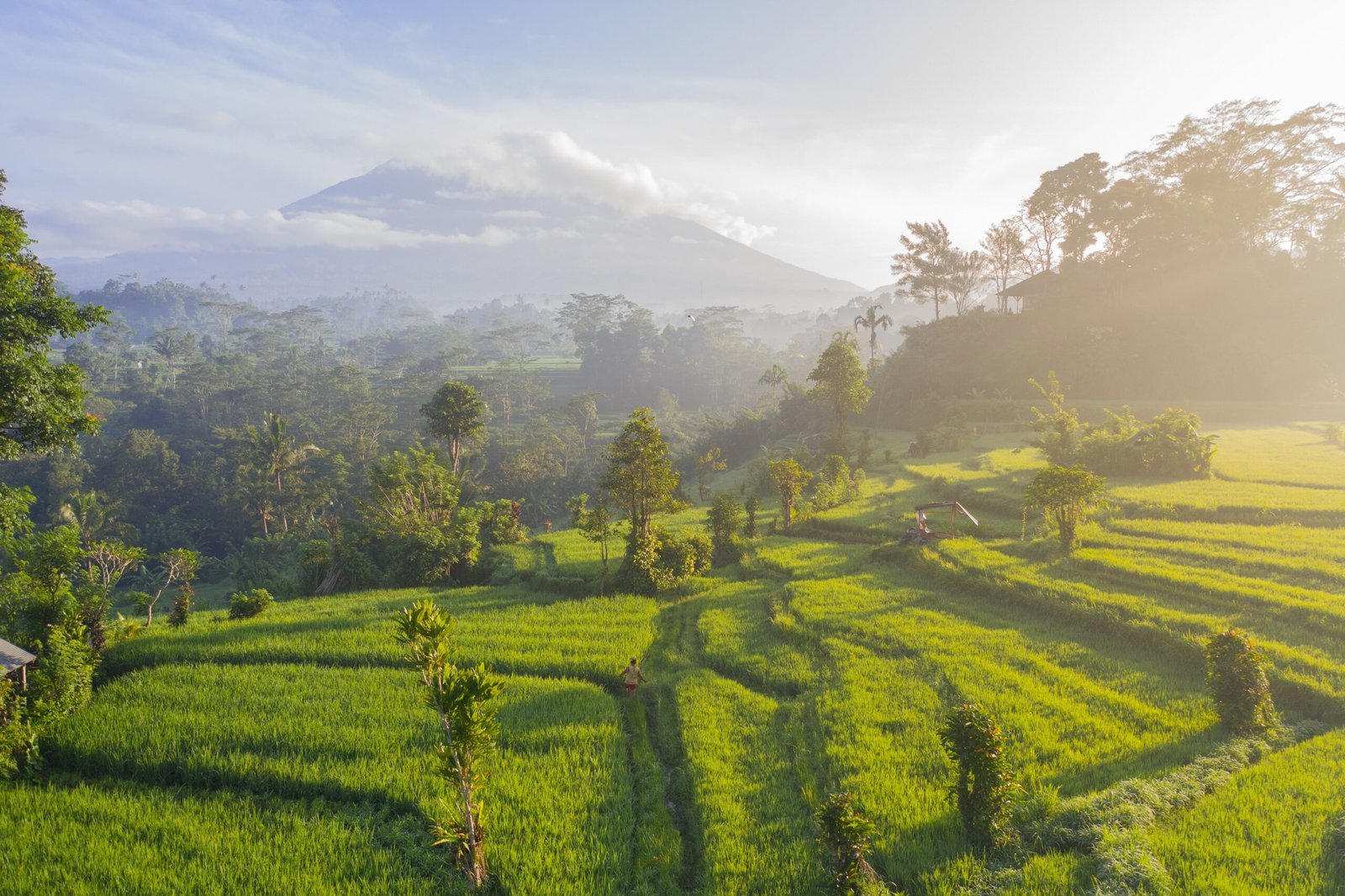 dónde alojarse en Bali