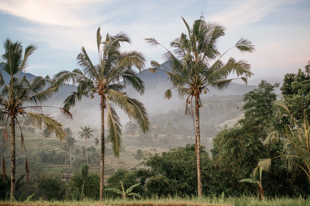 donde alojarse en Bali