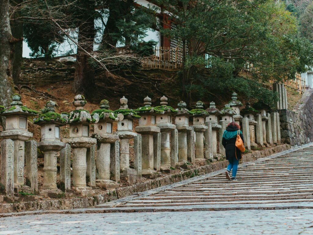 qué ver y hacer en Nara