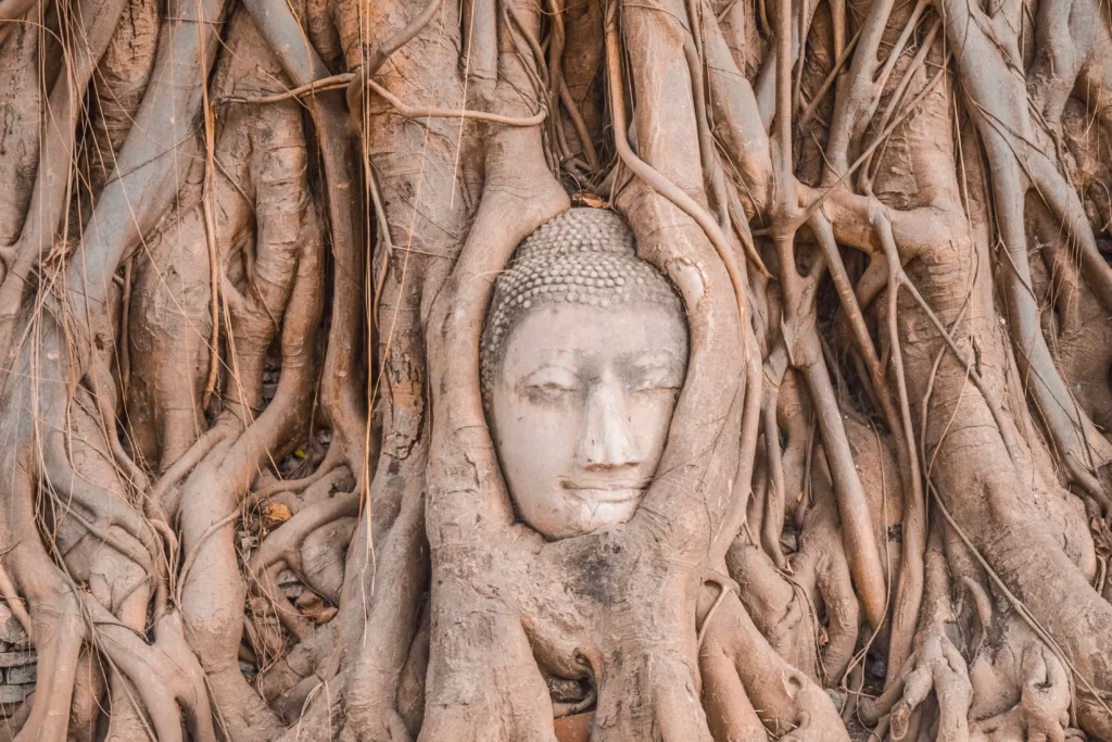 Cómo ir de Bangkok a Ayutthaya