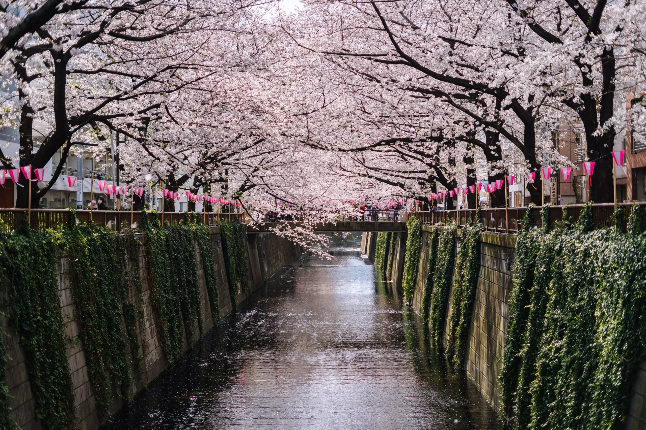 Japón en 7 días