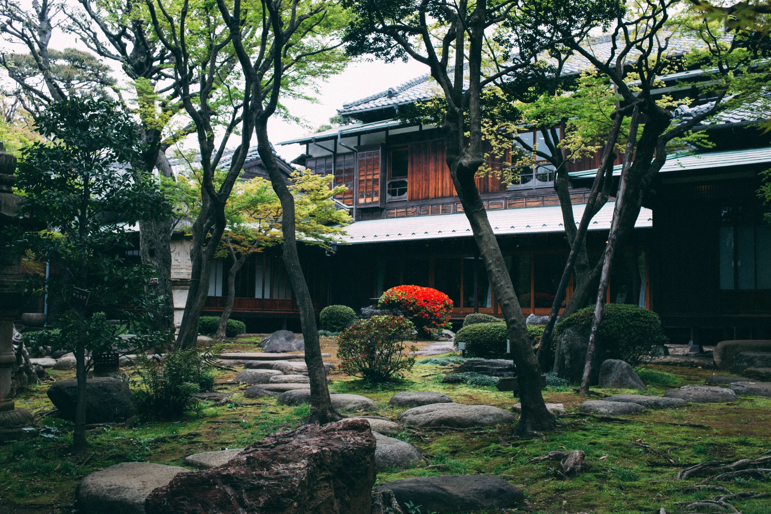 mejores onsen en tokio