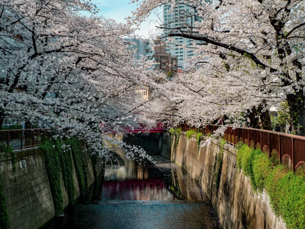 ¿Cuál es la mejor época para viajar a Japón?