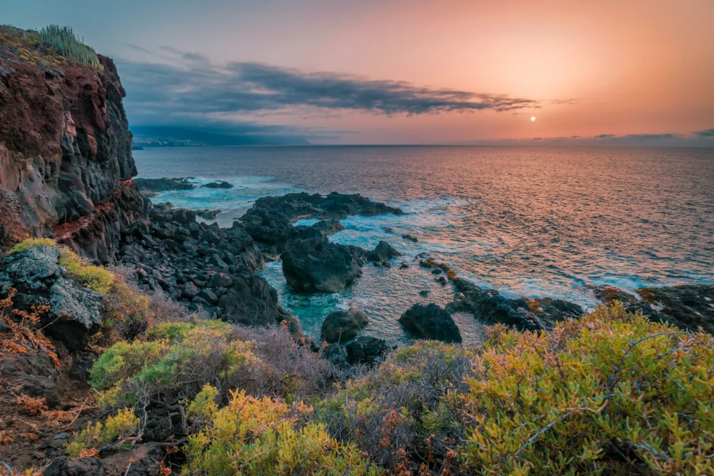 dónde alojarse en Tenerife